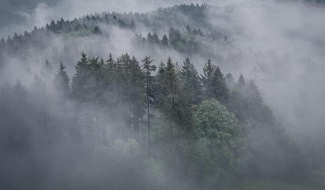 World’s most powerful cargo drone makes debut flight in Zhengzhou – China Daily