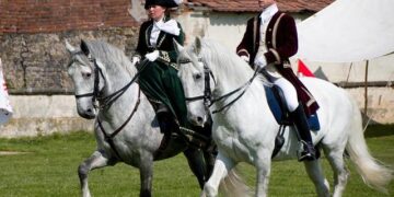 Dalian K’un City vs Shijiazhuang Gongfu – live score, predicted lineups and H2H stats – FotMob