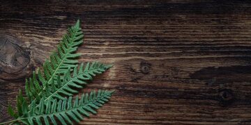 Analysis of the evolution and spatial effects of green space pattern in China’s urbanization process: a case study of Guangzhou City – Nature