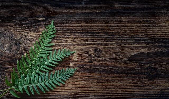 Analysis of the evolution and spatial effects of green space pattern in China’s urbanization process: a case study of Guangzhou City – Nature