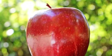 Chiefs kick off season with Red Friday in Brazil, raising millions for Ronald McDonald House – KCTV