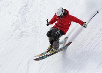 International University Alliance of Winter Sports established in Harbin – People’s Daily Online