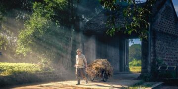 Global Gateway: Commissioner Síkela announces new investments on his mission to Addis Ababa – European External Action Service 06:34 – ethiopanorama.com
