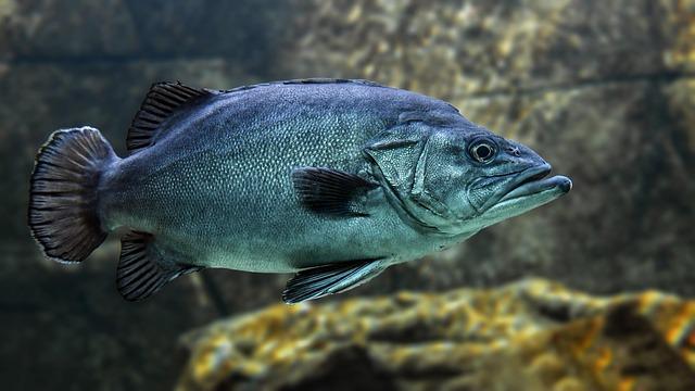After 700 Years Underwater Divers Recovered 80-Ton Blocks from the Long-Lost Lighthouse of Alexandria – ZME Science