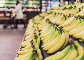 The promises and pitfalls of grocery shopping in Buenos Aires – Buenos Aires Herald