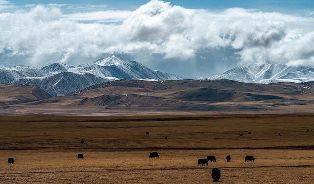 Cultural vibrancy shines in Xinjiang – People’s Daily Online