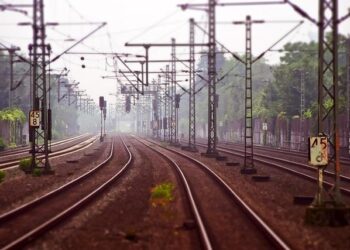 First electric trains for Malaysia project finish production in Dalian – China Daily – Global Edition