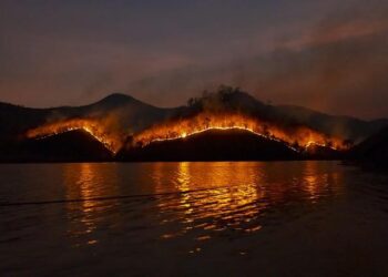 What’s causing wildfires in New York? Officials cite preventable mistakes – Democrat and Chronicle