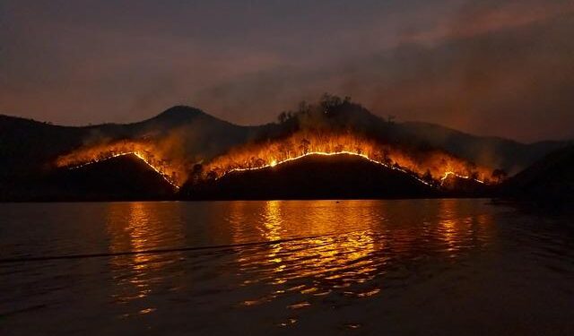 What’s causing wildfires in New York? Officials cite preventable mistakes – Democrat and Chronicle