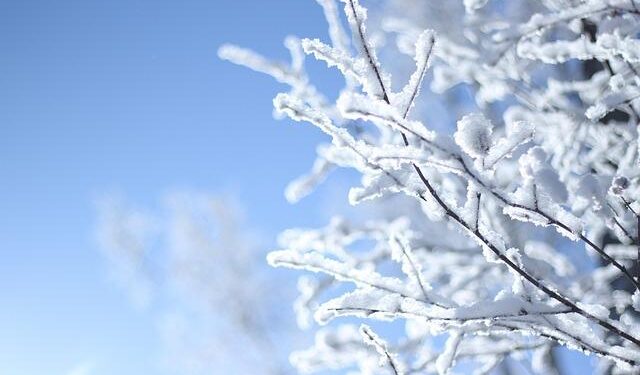 Harbin: China’s Frozen Metropolis and Its Spectacular Ice Kingdom – The Weather Channel