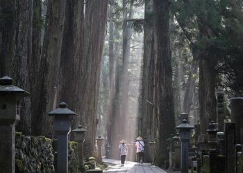 Identification, evaluation, classification of the Chengdu-Chongqing Ancient Road cultural heritage corridor – Nature