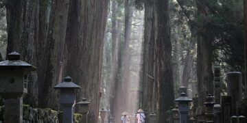 Identification, evaluation, classification of the Chengdu-Chongqing Ancient Road cultural heritage corridor – Nature