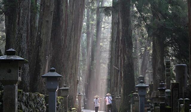 Identification, evaluation, classification of the Chengdu-Chongqing Ancient Road cultural heritage corridor – Nature