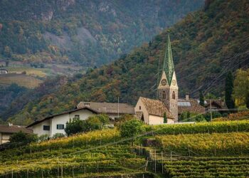 Vineyards and grape harvests near Santiago you’ll love! – Chile Travel
