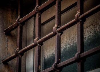 12 jailed in bid-rigging probe targeting İstanbul Municipality subsidiary – Turkish Minute