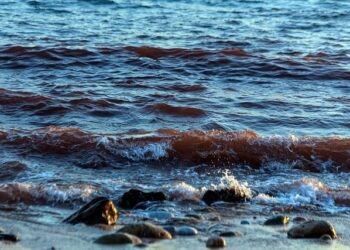 How the Hormuz Crisis Is Threatening Taiwan’s Power Grid – Crude Oil Prices Today | OilPrice.com