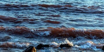 How the Hormuz Crisis Is Threatening Taiwan’s Power Grid – Crude Oil Prices Today | OilPrice.com