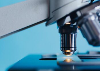 Illegal Surrogacy Clinics Uncovered in Changsha, 18 Penalized – Sixth Tone