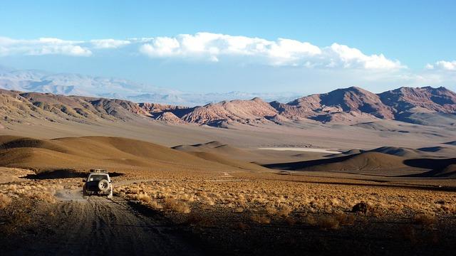 Argentina 101: What is hantavirus and how do you prevent it – Buenos Aires Herald