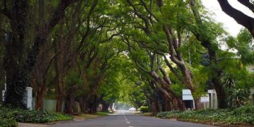 Johannesburg Tourism Ignites: South Africa SAHHA Conference 2026 Promises Economic Hope – All You Need To Know – Travel And Tour World
