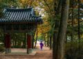 South Korean Investment Expands in Western China as Chongqing Strengthens Shared Ties | Insights – iChongqing