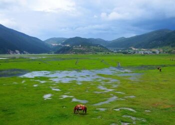 China’s Shangri-La Kunming Opens As Cultural Gateway To Yunnan With Design-Led Luxury – Travel And Tour World