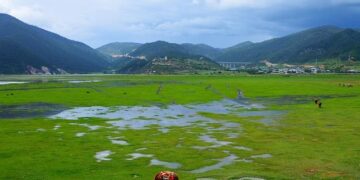 China’s Shangri-La Kunming Opens As Cultural Gateway To Yunnan With Design-Led Luxury – Travel And Tour World