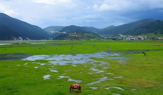 China’s Shangri-La Kunming Opens As Cultural Gateway To Yunnan With Design-Led Luxury – Travel And Tour World