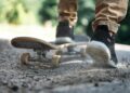 Concern Grows About Jihadi Activity in Ivory Coast – Council on Foreign Relations