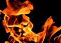 Five things to know about heat waves in Europe – Phys.org