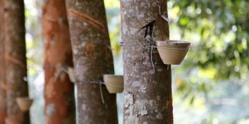 Unchecked Groundwater Extraction Threatens to Sink Yangon – The Irrawaddy