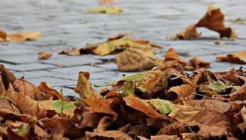 Autumn scenery in Xi’an, NW China’s Shaanxi – English.gov.cn