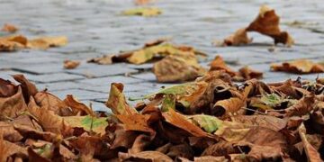 Autumn scenery in Xi’an, NW China’s Shaanxi – English.gov.cn