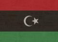 Libya-China: The new Qingdao-Mediterranean route strengthens the alternative logistics corridor to Hormuz. – Agenzia Nova