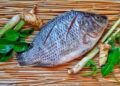 Financial institutions commit to financing the tilapia sector in Ivory Coast – Food and Agriculture Organization