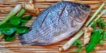 Financial institutions commit to financing the tilapia sector in Ivory Coast – Food and Agriculture Organization