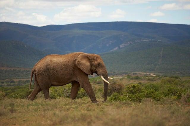 African Tourism Investment: Nigeria Now Positions Lagos and Abuja as Global Destinations, Get the Details Here – Travel And Tour World