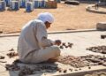 Archaeologists Near Alexandria Just Found A 115-Foot Party Boat Once Enjoyed By Ancient Egyptian Elites – All That’s Interesting
