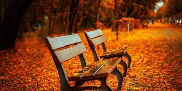Autumn scenery in Xi’an, NW China’s Shaanxi – People’s Daily Online