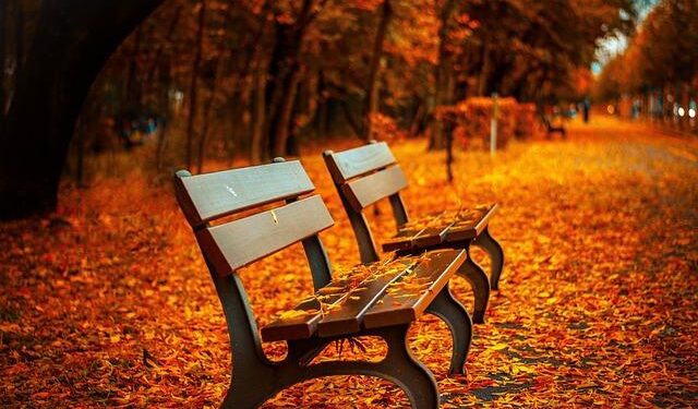 Autumn scenery in Xi’an, NW China’s Shaanxi – People’s Daily Online