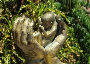 Inside Dar es Salaam’s abortion network operating in the shadows, risking lives – thecitizen.co.tz