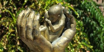 Inside Dar es Salaam’s abortion network operating in the shadows, risking lives – thecitizen.co.tz
