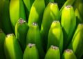 Chinese exports surge, beating forecasts – Sharecast.com