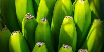 Chinese exports surge, beating forecasts – Sharecast.com