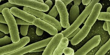 Genomic profiling of extended-spectrum beta-lactamase-producing Escherichia coli isolated from poultry and poultry farm workers in Accra, Ghana – Nature