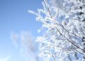 View of Harbin Songhua River Ice and Snow Carnival in China’s Heilongjiang – People’s Daily Online