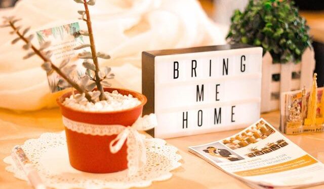 Best Airbnbs in Cape Town for a dreamy stay in the Mother City in 2026 – CN Traveller