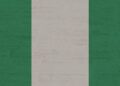 Nigeria: Matchmaking websites increasingly popular in Kano – africanews.com