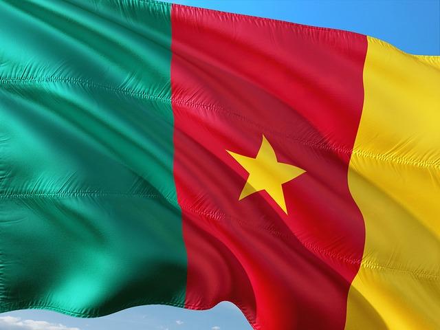 Outcry in Cameroon as opposition leader Kamto barred from presidential race – RFI