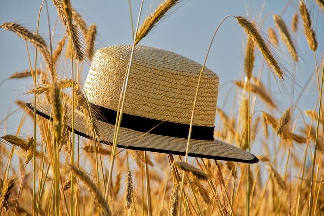 Seasonal Summer Conditions to Prevail Through Saturday – The Jordan News Agency – وكالة الانباء الاردنية